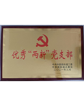 2021年優(yōu)秀兩新黨支部