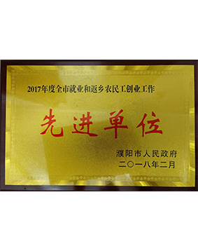 2017年度全市就業(yè)和返鄉(xiāng)農(nóng)民工創(chuàng)業(yè)工作 先進(jìn)單位