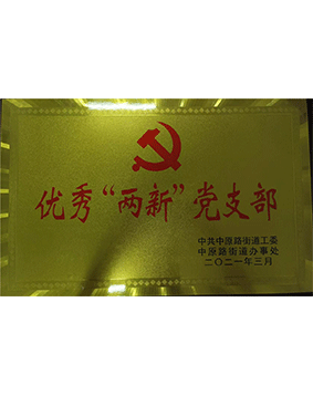 2021年優(yōu)秀兩新黨支部