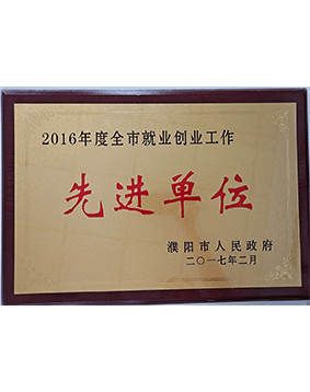 2016年度全市就業(yè)創(chuàng)業(yè)工作先進(jìn)單位